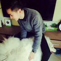 李伯彦