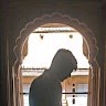 Mayursinh jadav