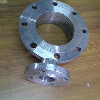 BW FITTINGS FLANGES
