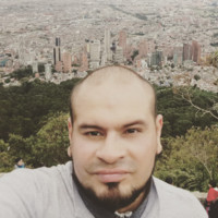 Nelson Enrique Diaz Ladino