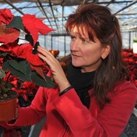 Monique Baechler