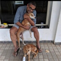 Radhakrishnan K