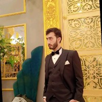 Sultan Mehmood