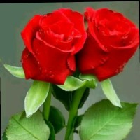 Ganesh Korbanwad