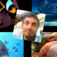 Aurelien Gaudry