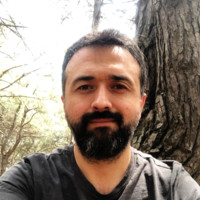 Yavuz Sert