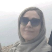 z ahmadi