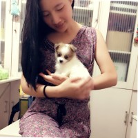 Ivy Yajing Wang