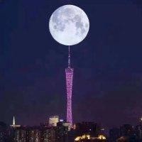 刘相锋