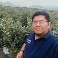 Oscar Pineda Tapullima