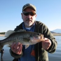 Tim Trimmer