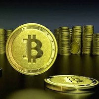 cryptoneur DZ