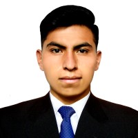 Luis David Milla Flores