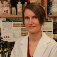 Valentina Schmidt, Ph.D.