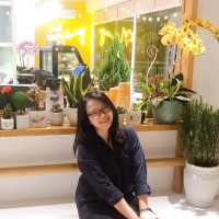 Yến Nguyễn