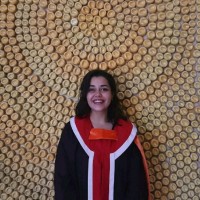 Seyda Nur Açıkgöz