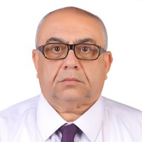 Youssef Mina