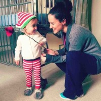Emily Steele