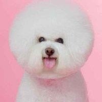 王瑞吉