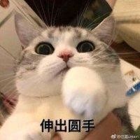 钟石林
