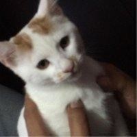 陆红飞