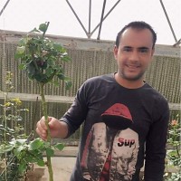 Mahmoud Alamry
