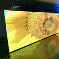 LED Display Rose