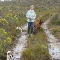 Lesley Richardson