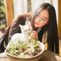 林惠仪