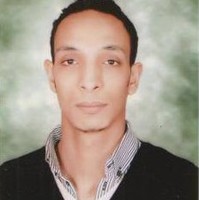 Mohamed Mohareb