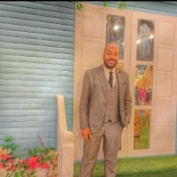 Mohamed Al-Abnoudy
