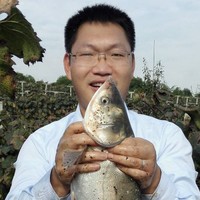 何敏敏