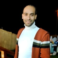 Ali Mansour