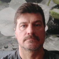 Vladimir Voronin