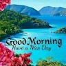 Naved Anjum