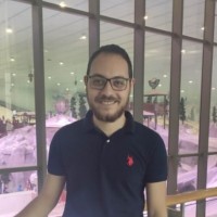 Wasim Wafik
