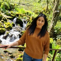Sofi David