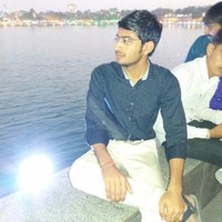 Pethani Vishal