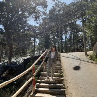 Thao Thi