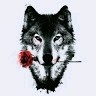 Will Lobo