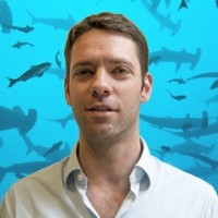 Mark Sweny