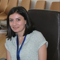 Ani Safaryan