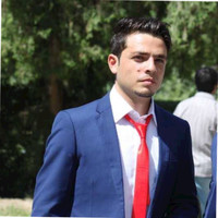 Jawad Habibi