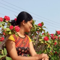 Pranjal Kate