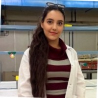 fatemeh hosseini