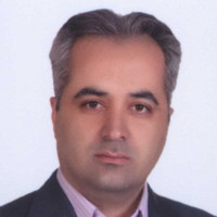 Mohammad Reza Iravani