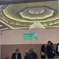 Wejdan Al Hussain