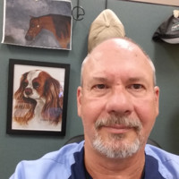 Chris Gibson