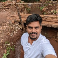 Vigneshwaran N