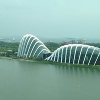 吴重阳